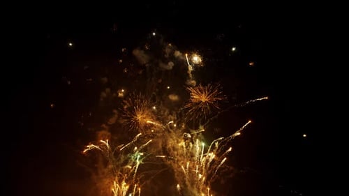 Golden Fireworks Explode in the Night Sky