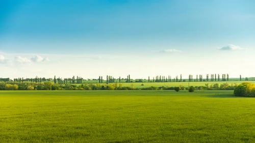 Rural Landscape Time Lapse With The Green Field
