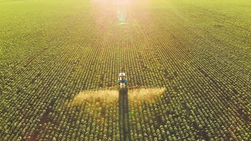 Aerial View of Farming Tractor Spraying on Field with Sprayer Herbicides and Pesticides at Sunset