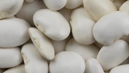Heap of white beans texture as background. Top view.