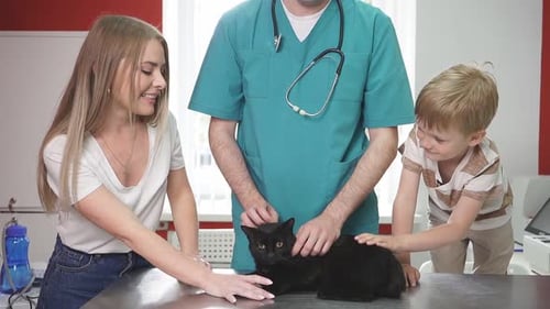 Black Cat Gets Pet at the Vet with Family