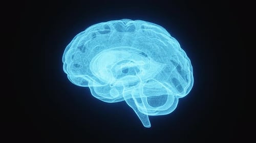 Futuristic Blue Holographic Brain Spinning Animation
