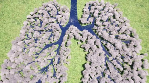 Lung Forest Environment Nature Earth Save Earth Green Planet Rural Scenery Farm