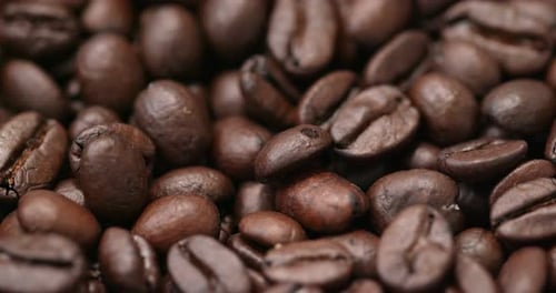 Roast coffee bean