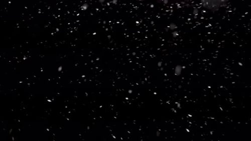 Gentle Snowfall on Black Background for Chroma Key