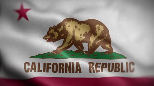 California State Flag Waving with Fabric Texture