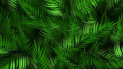 Tropical Green Palm Leaves Swaying Seamless Loop Background