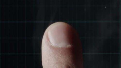 Biometrischer Fingerabdruckscanner in Aktion