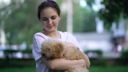 Woman with Toy Poodle Walking in a Park
