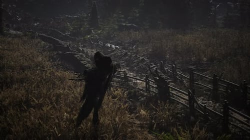 Scarecrow on the Old Village Field