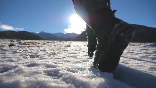Rear Back View of Unrecognizable Guy with Stick Climbing Up on Snowy Hill of Meadow at Sunny Day
