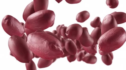 Flying of Peanuts in White Background with Alpha Channel