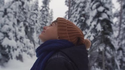 Adoration of the boy in the forest in winter.