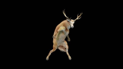 Surreal Dancing Deer-Human Hybrid Character Animation