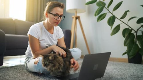 Frau mit Brille sitzt auf dem Boden, arbeitet an einem Laptop und streichelt eine flauschige Katze