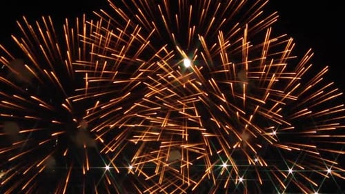 Vibrant Fireworks Exploding in the Night Sky