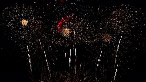 Fireworks Exploding in the Night Sky