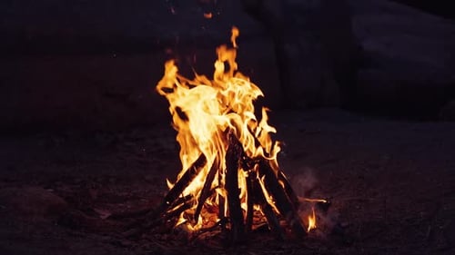 Campfire Burning Brightly at Night in Nature