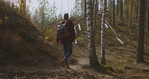 Outdoor Activities Travel Concept Man in Nature. Back View of Walking Person on Field Road in