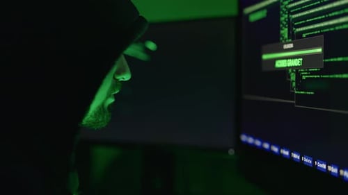 Hacker Looking at Display with Granted Access Result