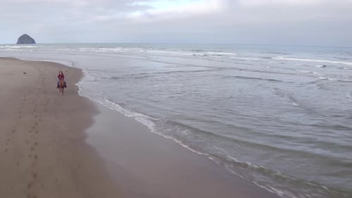 Aerial view of women riding horses at beach