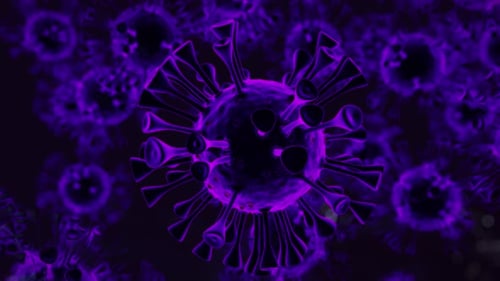 Corona Virus 3D