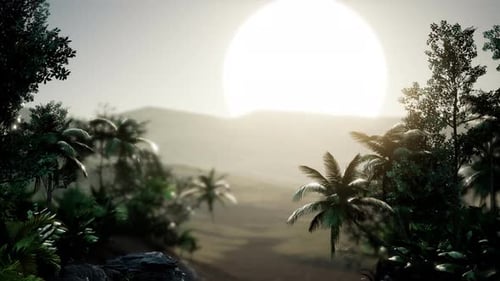Tropical Jungle Sunset with Palm Trees and Lush Greenery