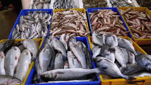 Frischer Seefisch in Eis, verkauft im Schaufenster des Seafood Street Market.