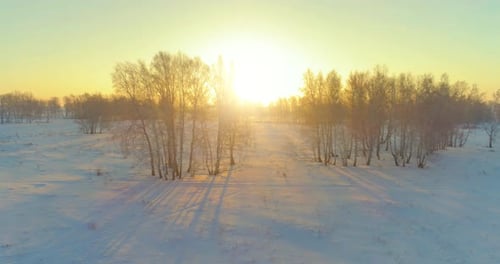 Aerial Drone View of Cold Winter Landscape with Arctic Field, Trees Covered with Frost Snow