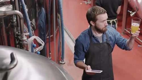 Brewery Supervisor Checking Produced Beer