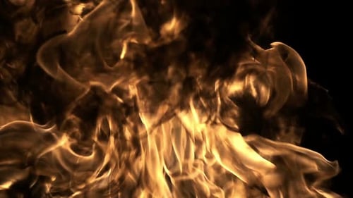 Blazing Fire Flames on Black Background