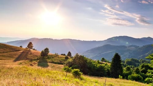 Wonderful Forest and Grassy Meadow at Sunset