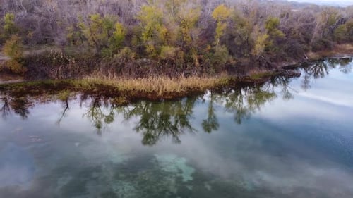 Autumn Forest By The Lake