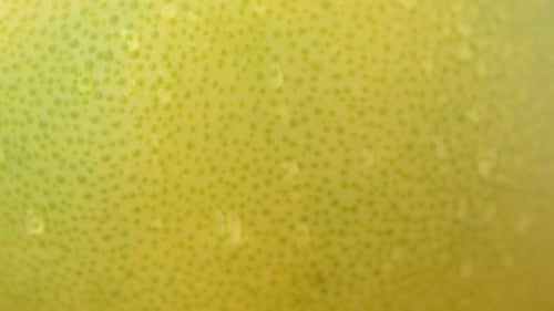 Macro Shot of Vibrant Citrus Fruit Texture