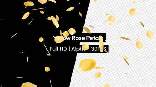 Falling Yellow Rose Petals Overlay