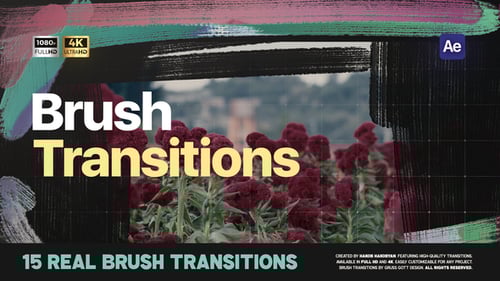 Brush Transitions