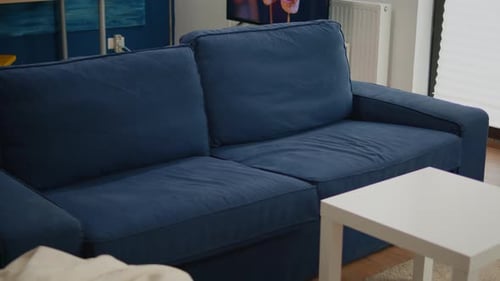 Cozy Living Room Interior with Blue Sofa