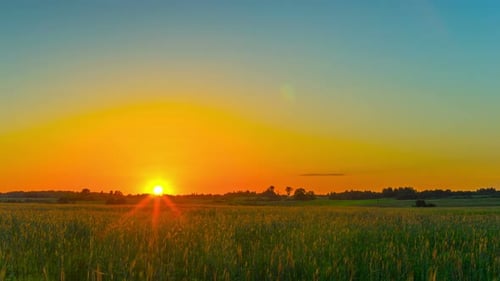 Sonnenuntergang über dem Feld
