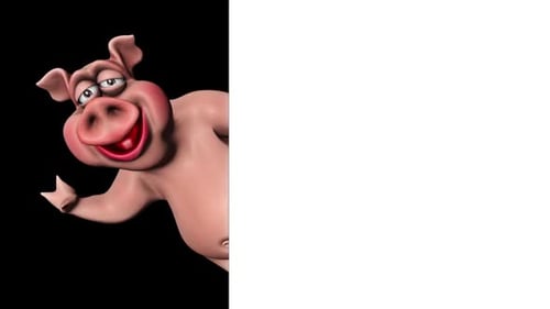 Cartoon Pig Show Ads Looped on White