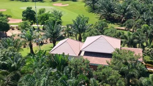 The beautiful scenery of a golf course surrounded by lush green and tall palm trees - aerial shot