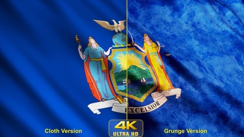 Waving New York State Flag with Clean and Grunge Styles