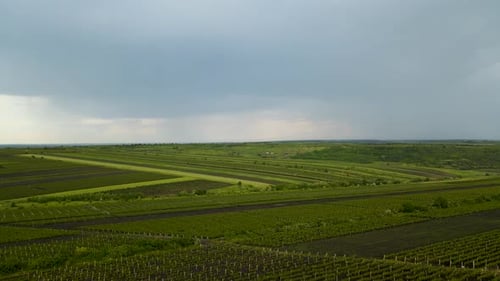 Aerial View Countryside Beautiful Farms and Vineyards Beautiful