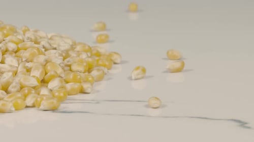 Yellow Corn Kernels on a White Countertop