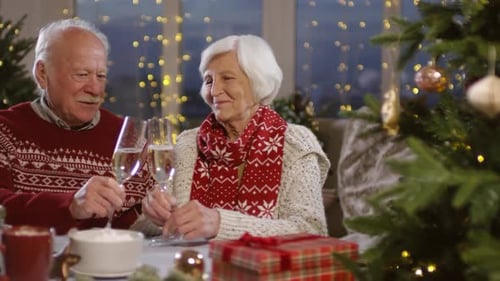 Senior Couple Toasting Champagne at Christmas Dinner