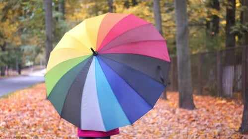 Petite fille riant jouant au spinning avec un parapluie arc-en-ciel, automne sur un érable orange doré tombé