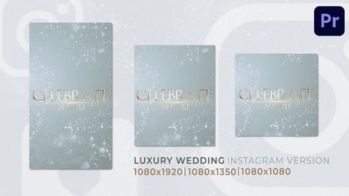 Luxury Wedding | Romantic Love Instagram Reel