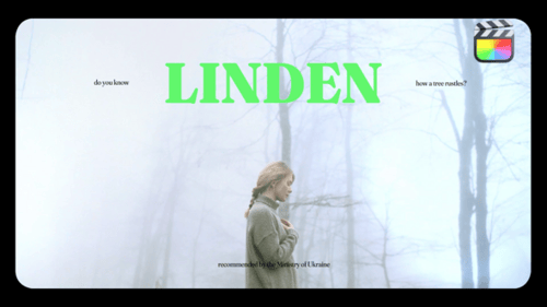 Cinematic Vibes Typography /Fcpx