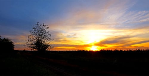 Sunset Over Country Road in Golden Light