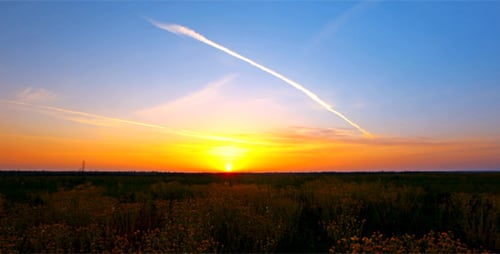 Dawn