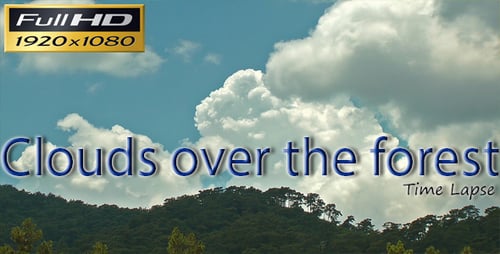 Clouds Over Forest